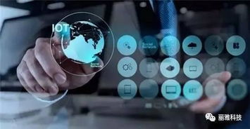 中国新创富风口正当时 移动互联网服务与工业互联网数据服务的机遇